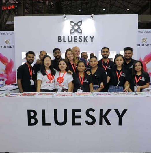 Bluesky India Team