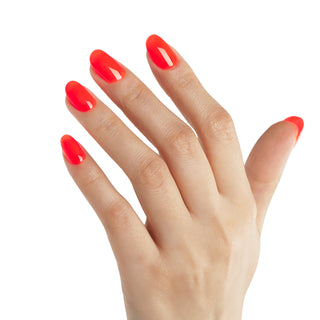 Bluesky Gel Polish - TANGO - 63904