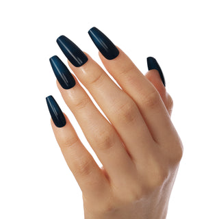 Bluesky Starter Kit - Autumn