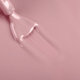 Bluesky Starter Kit - Best Selling Nudes