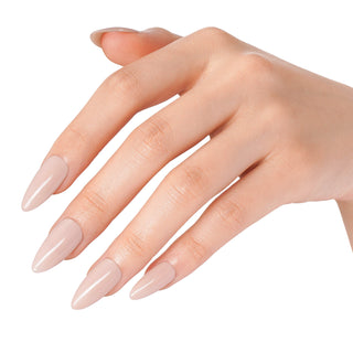 Bluesky Starter Kit - Best Selling Nudes