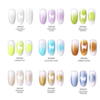 Ombre Palette Gel Bundle