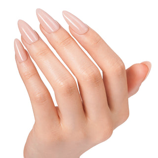 Bluesky Starter Kit - Best Selling Nudes