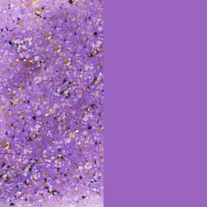 Bluesky Gel Polish Mini Duo - Flower Gel - Purple