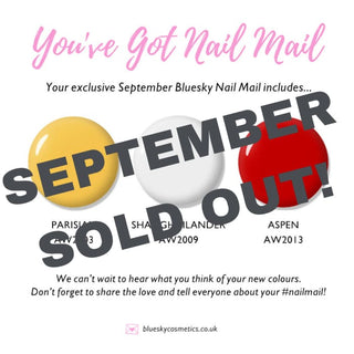 Bluesky Nail Mail 6 Month Subscription