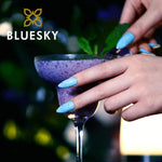 Bluesky Gel Polish - BLUEBERRY BURST - SUM1922 - Gel Polish