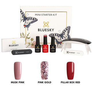 Mini Starter Kit - Gel Paint