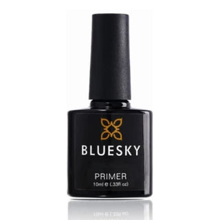 Bluesky Primer